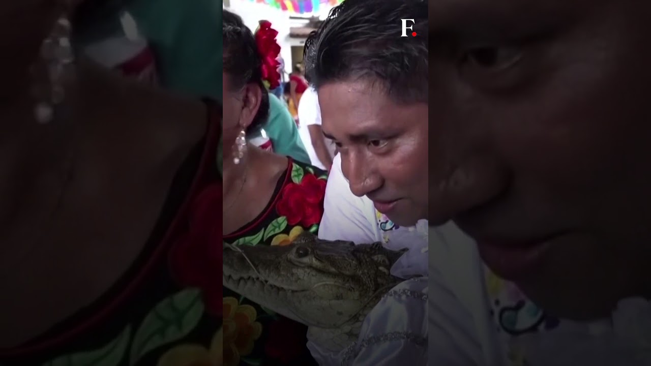 WATCH: Mexican Mayor Weds Alligator In Age-old Tradition