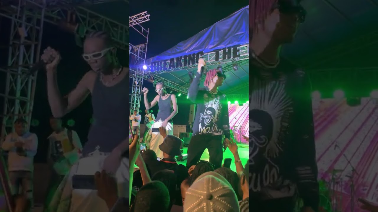 Blaqbonez concert