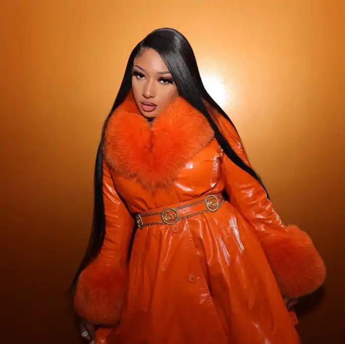 Megan Thee Stallion Biography, Age, Boyfriend, Net Worth, and Career