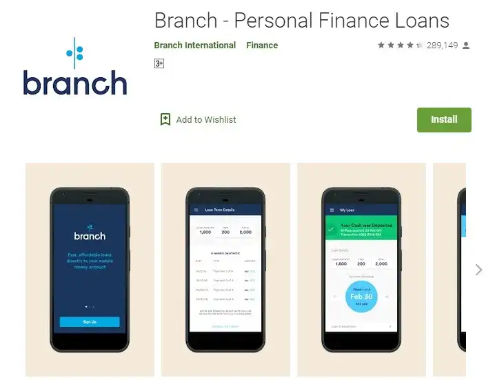 branch