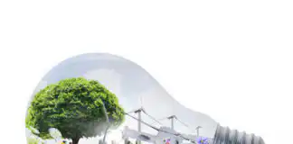 Importance of Agriculture in Nigeria