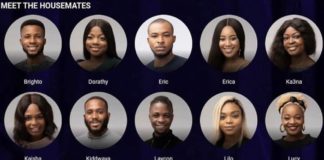 Meet the Lockdown Bbnaija Housemate Season 5, plus all you need to Know