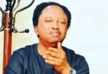 Senator Shehu Sani of Nigeria’s ruling All Progressives Congress (APC) poses an intriguing question to the party’s presidential candidates on Twitter.