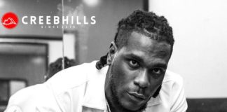 Burna Boy Net Worth, Biography, and Career statistics
