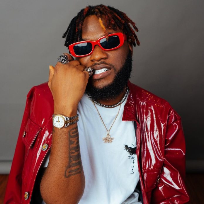 dremodrizzy-20210122-0001