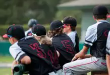 Little League Baseball Teams: Divisions and Leagues