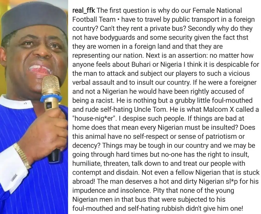Femi Fani-Kayode reacts to Nigerian man who  confronted Super Falcons players in Austria