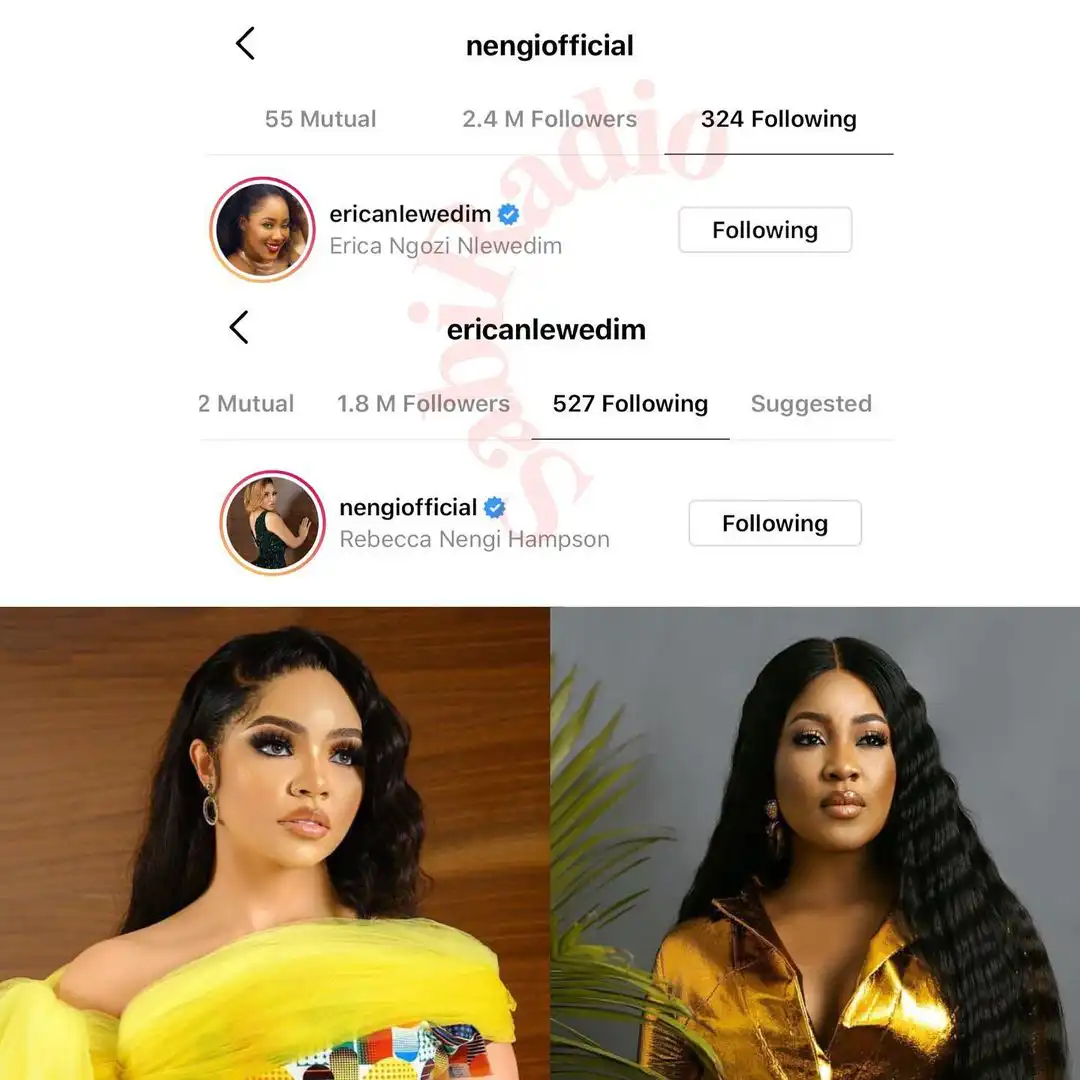 BBNaija's two biggest rival Nengi and Erica finally follow each other on IG (Screenshot)