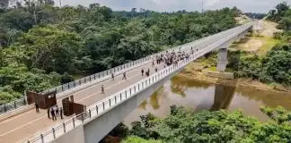 Photo of the Just Completed Nigeria-Cameroon 1.5km Border Bridge, Cost $35.9 million