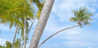 Actress, Ronke Tiamiyu replies Instagram troll after she was asked about the sponsor of her trips