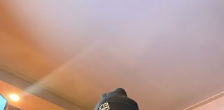 Snoop Dogg Net Worth, Biography, Age, and Career (2022)