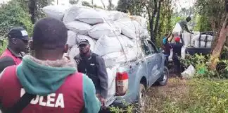 Introduce drug integrity test for all students — NDLEA tells tertiary institutions