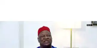 Nigeria cannot move forward without my consensus plan — Anyim Pius Anyim