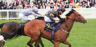 Which Prep Races Predict The Kentucky Derby Performance?