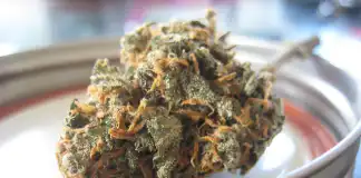What is HHC? How is it Different from other THC products?