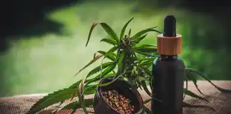Are Cannabis Edibles Safe To Eat?