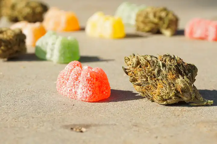 Cannabis edibles are healthy