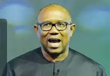 "I'm not desperate to be President, I'm desperate to see Nigeria work" - Peter Obi (video)