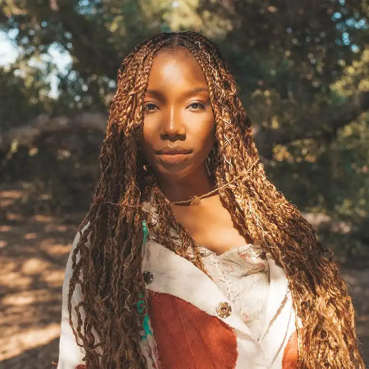 Brandy Norwood Biography, Age, Income, Net Worth, and Career (2022)