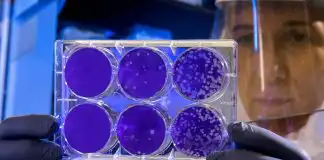 Why Cord Blood and Tissue Banking Is Ideal Upon Newborn Birth