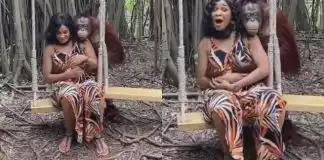 “The promiscuity no be here” - Reactions as Orangutan Grabs Woman’s B00bs at a Zoo (Video)