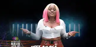 Amaka BBNaija Biography, Wiki, Instagram, Age, Real Name, Boyfriend, Tribe, State, Net Worth, Pictures