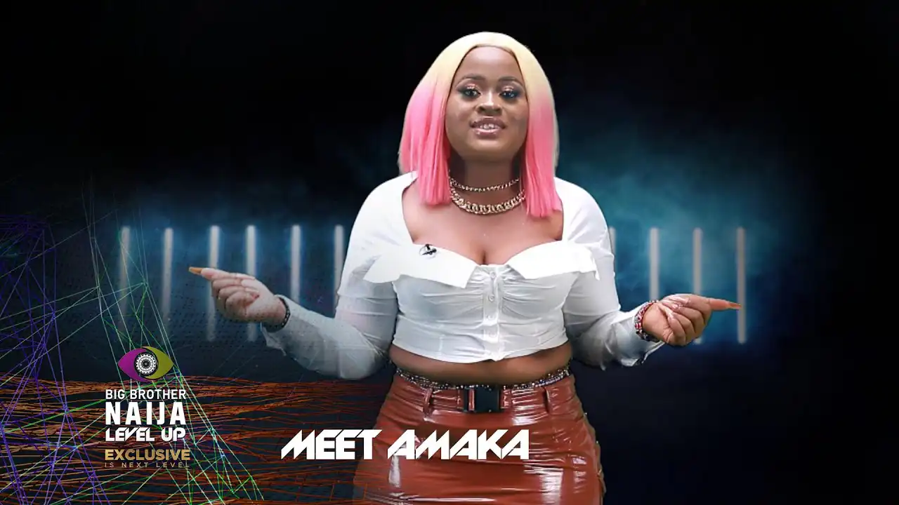 Amaka BBNaija Biography, Wiki, Instagram, Age, Real Name, Boyfriend, Tribe, State, Net Worth, Pictures