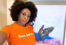 Chimamanda Ngozi Adichie Biography, Age, Husband, Awards, Net Worth, and Career