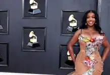 SZA Biography, Age, Income, Boyfriend, Net Worth, and Career