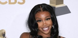 SZA Biography, Age, Income, Boyfriend, Net Worth, and Career