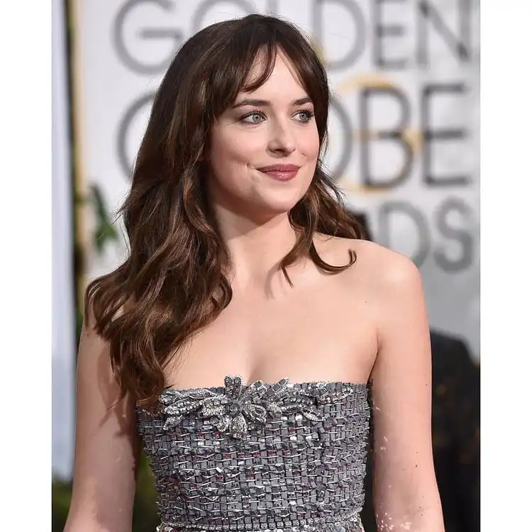 Dakota Johnson Biography, Age, Income, Boyfriend, Net Worth, and Career 