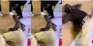 Confusion as Portable lays on floor, writhes like a salted worm