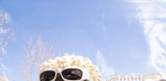 TG OMORI (Boy Director) Biography, Age, Girlfriend, Income, Salary, Net Worth, and Career