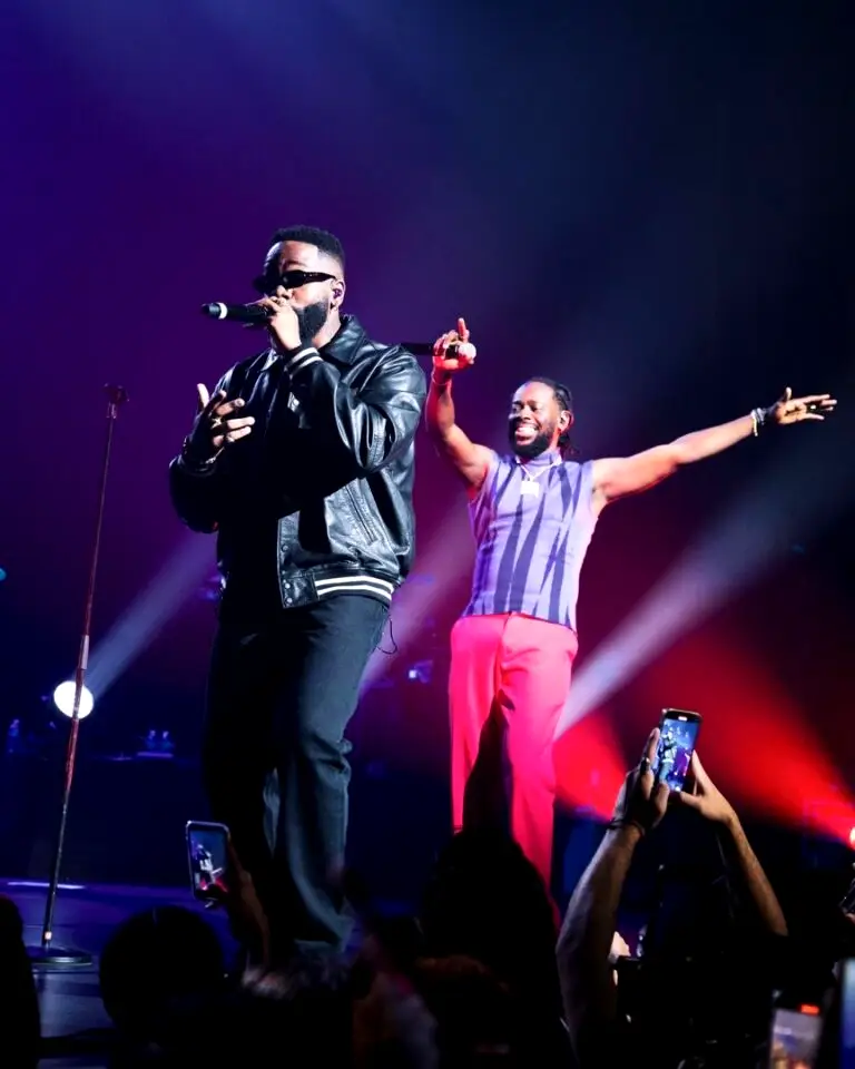 Adekunle Gold meets Asa after thrilling fans in Paris show