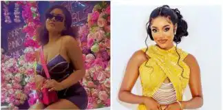 “She goes collect “: Phyna reveals her plans for Beauty after #BBNaija (Video)
