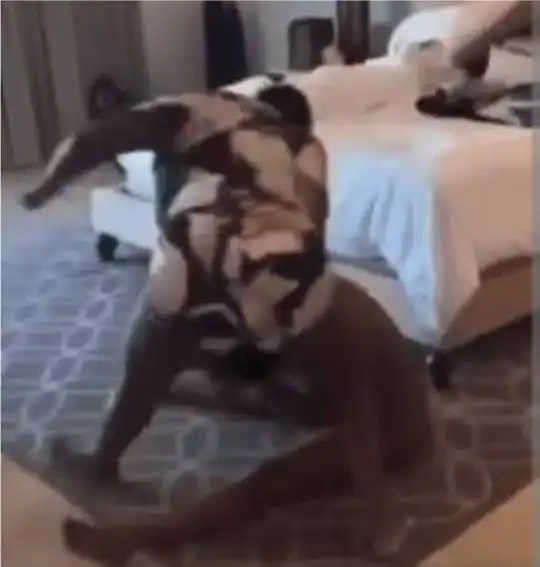 Disturbing video: Shocking details emerge as woman dies while on vacation with friends in Mexico 4 6375ffd70bfc0