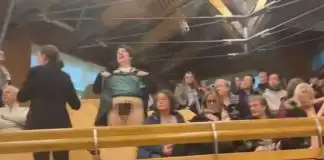 Parliament protester lifts skirt to flaunt ‘pubic hair’ and says ‘get it right up youse’