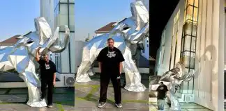 Don Jazzy acquires an expensive masterpiece, an elephant for Christmas