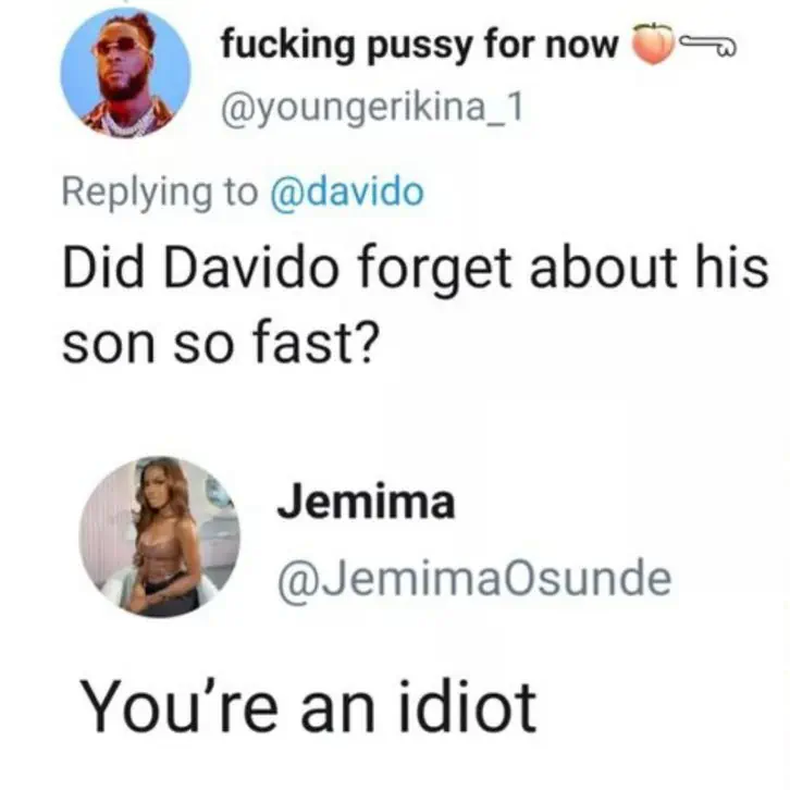 Jemima Osunde floors troll who queried Davido over his sons death Kemi Filani blog