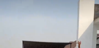 Don Jazzy amuses fans as he twerks with ladies in new footage (Video)