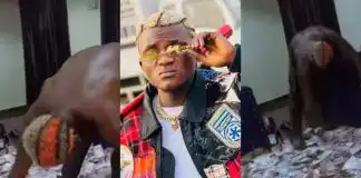 "Nobody has cashed out like me" – Portable says as he shows off ‘millions’ fans sprayed on him (Video)