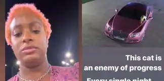 DJ Cuppy calls out cat tormenting her