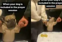 Reactions As Nigerian Family Involve Their Dog In New Year’s Day Prayers (Video)