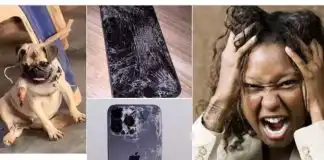 “Do you know how many people buy that phone” – Lady goes crazy after her dog breaks her iPhone 14 Pro max, gives it severe punishment (Video)