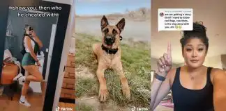 Lady reveals how her boyfriend cheated on her with her own dog,I caught him molesting animal-Lady reveals (Video)