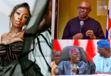 This is for EndSARS, Sanwo Olu is shaking right now – Beverly Naya reacts to Peter Obi’s victory in Lagos