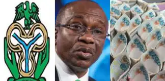 ‘Please, Valentine is around the corner’ – Netizens react as CBN lists bouquet as Naira abuse