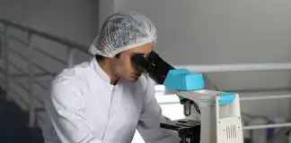How Kratom Testing Services Analyze the Herb