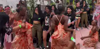 Korra Obidi garners attention as she twerks hard at an event in Mexico