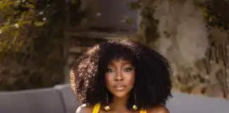 Ini Dima-Okojie Biography, Age, Husband, Child, Mother, Siblings, Movies, Net Worth, and Career